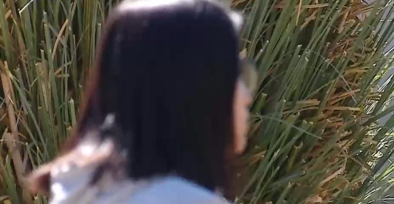 Fue apuñalada más de 20 veces: Habla joven que sobrevivió a brutal ataque de ex pololo en Pudahuel