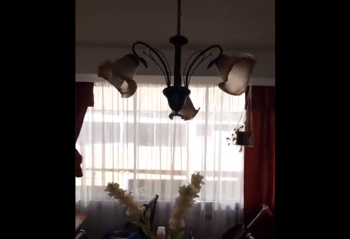 Los videos que dejó el fuerte sismo que se registró en el Ñuble y Biobío