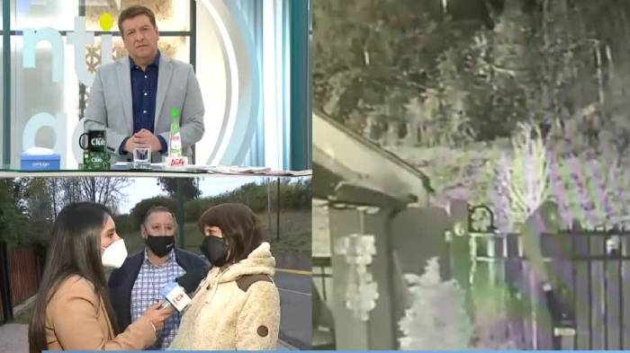 “Nos taparon las cabezas”: El crudo relato de familia que fue amarrada durante asalto en Peñalolén