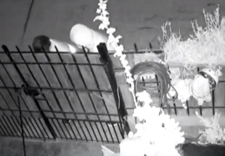 Fatal asalto: Delincuentes mataron a padre de cuatro hijos y huyeron en su auto