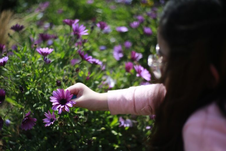 ¿Qué es el polen? Recomendaciones ante las molestas alergias de primavera
