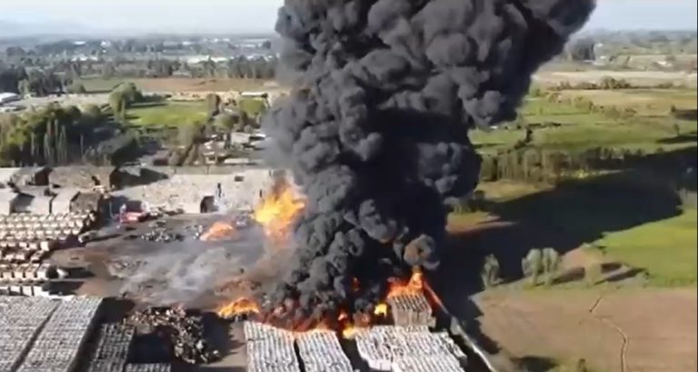 Gigantesco incendio afecta a empresa de alimentos en Teno: Se habría originado por quema de pastizales