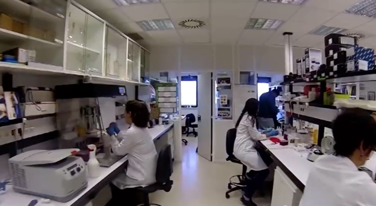 En qué consiste la inmunoterapia, la esperanza contra el cáncer