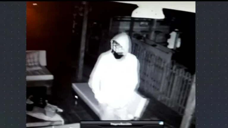 Vecino de Las Condes logra frustar asalto gracias al ladrido de sus perros