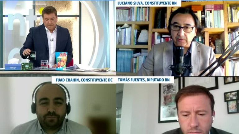 Luciano Silva, constituyente: 