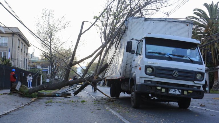 Dejó la escoba: Camión derribó varios postes en Providencia tras cruzarse con cables a baja altura
