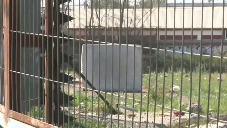 Tras balacera en San Bernardo: Encuentran en un potrero el cuerpo sin vida de un hombre