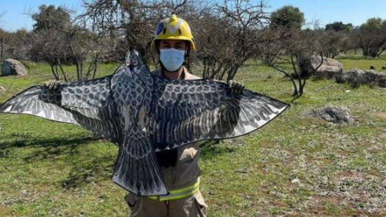 Falsa alarma: Bomberos acudieron al rescate de un 