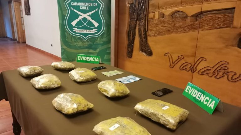 Perrita detectora la delató: Mujer fue sorprendida viajando en bus con $82 millones en drogas