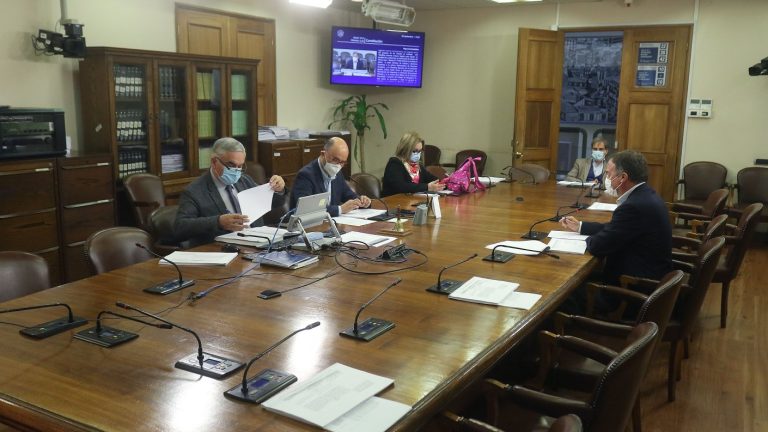 Por unanimidad: Comisión de Constitución de la Cámara aprueba en general el matrimonio igualitario
