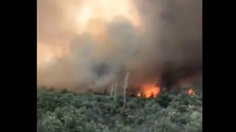 Autoridades llaman a evacuar: Alerta Roja por incendio forestal en Tiltil que deja al menos 12 casas afectadas