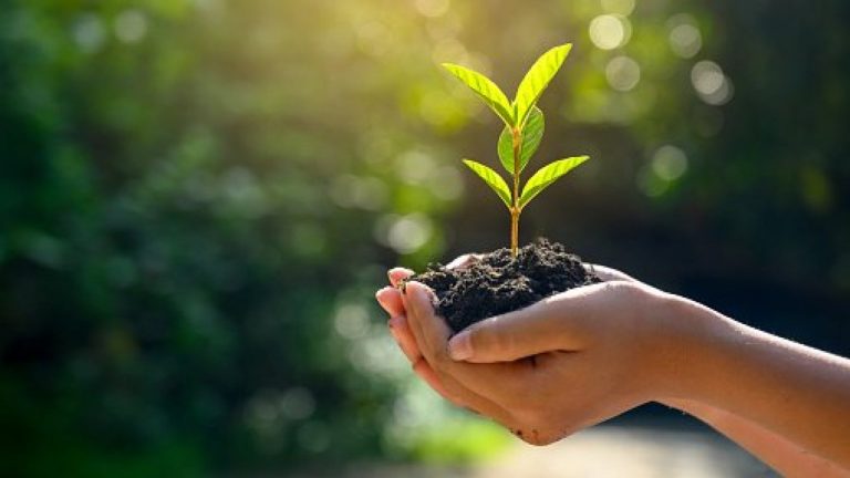 ¡Sí, es posible! Te revelamos los mejores consejos para vivir sin generar basura