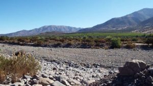 ¿Será una primavera lluviosa? Dan a conocer el pronóstico para septiembre, octubre y noviembre