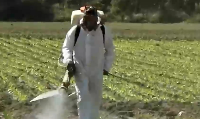 Demandan a Bayer por producto cancerígeno: Apuntan a herbicida que contiene glifosato