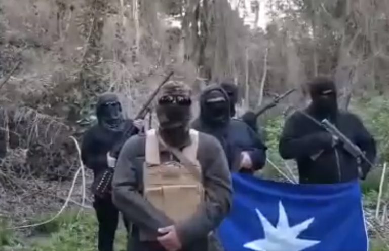 Comuneros de la Resistencia Territorial Mapuche abandonaron territorio de la Conaf tras asegurar que lo defenderían por la vía armada