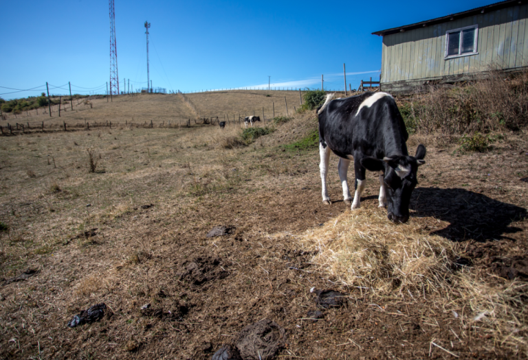 Récord con 172 comunas: 45% de la población en Chile está bajo decretos de escasez hídrica