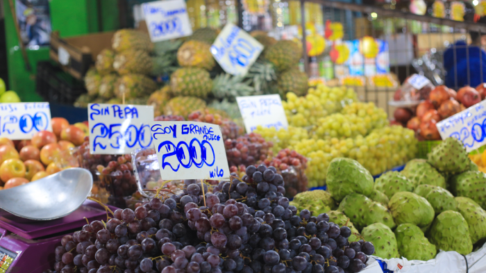 Hablan los expertos: ¿Se deben congelar los precios de los alimentos en Chile?