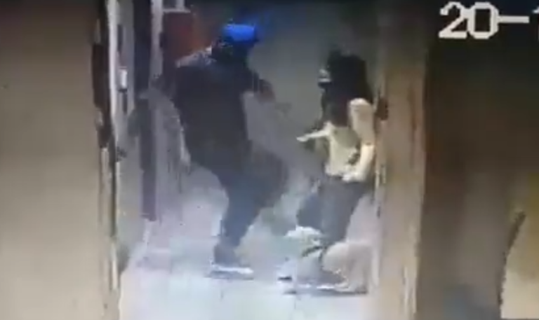 Mortal patada: Hombre mató a perro guía de mujer no vidente solo por haberle ladrado