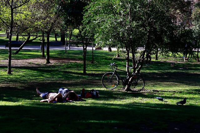 Alcaldesa de Santiago pidió considerar el rediseño de la Línea 7 de Metro: Asegura que dañará el Parque Forestal