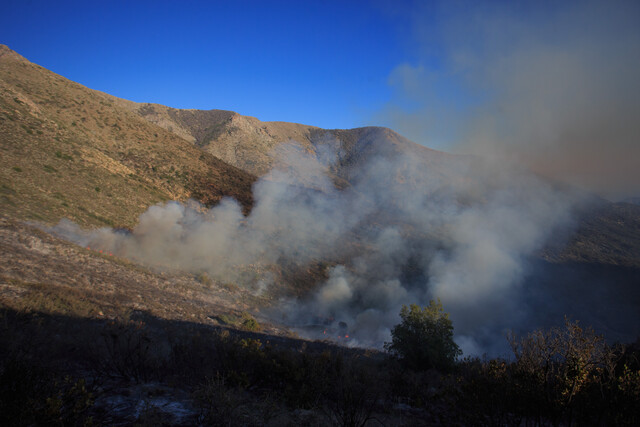 Alerta Roja en Ovalle por incendio forestal activo que amenaza a viviendas