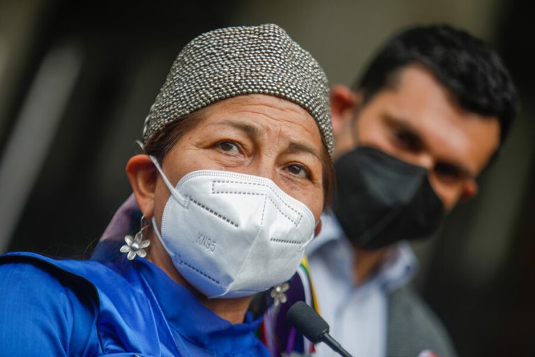 Loncon y apoyo de convencionales a candidatos a La Moneda: “No se debería presidencializar el trabajo de la Convención”