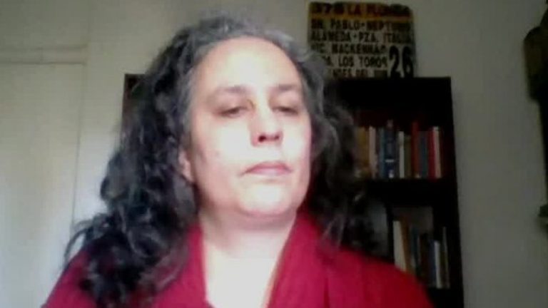 Investigadora de los Pandora Papers, sobre la venta de Dominga: 