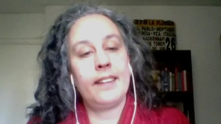 Francisca Skoknic, investigadora de los Pandora Papers, explicó con detalles toda la polémica que envuelve al presidente Sebastián Piñera