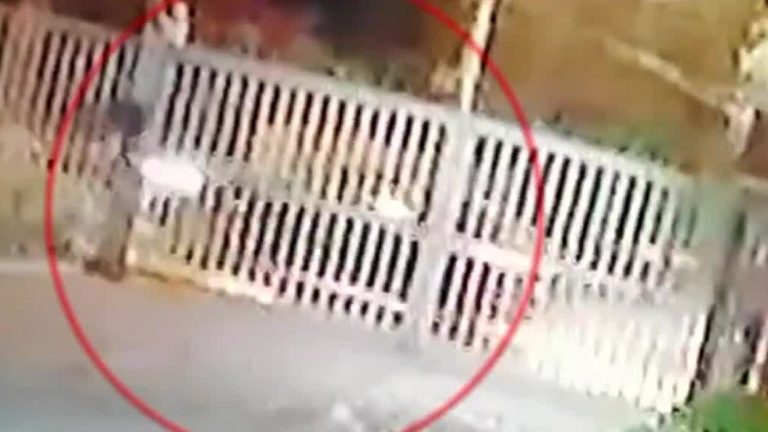 Los ahuyentó a balazos: Carabinero que sufría portonazo logró evitarlo usando su arma particular