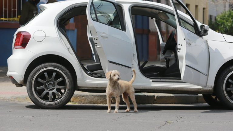 Robo con violencia y microtráfico: El amplio prontuario de las hermanas asesinadas en Santiago Centro