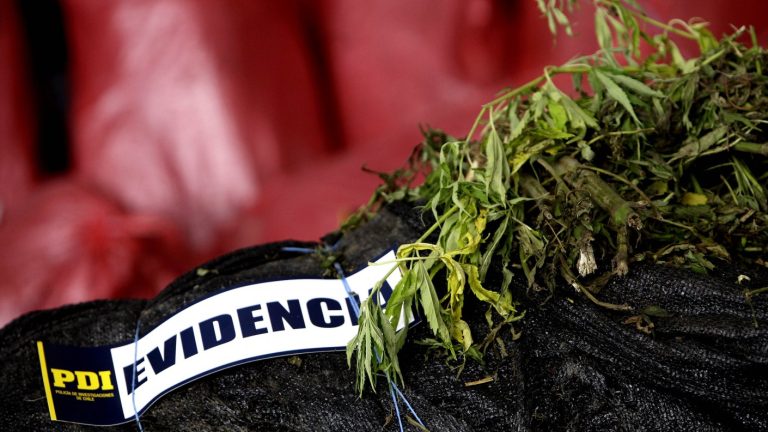 Dos funcionarios municipales de San Ramón fueron detenidos y serán formalizados por tráfico de drogas