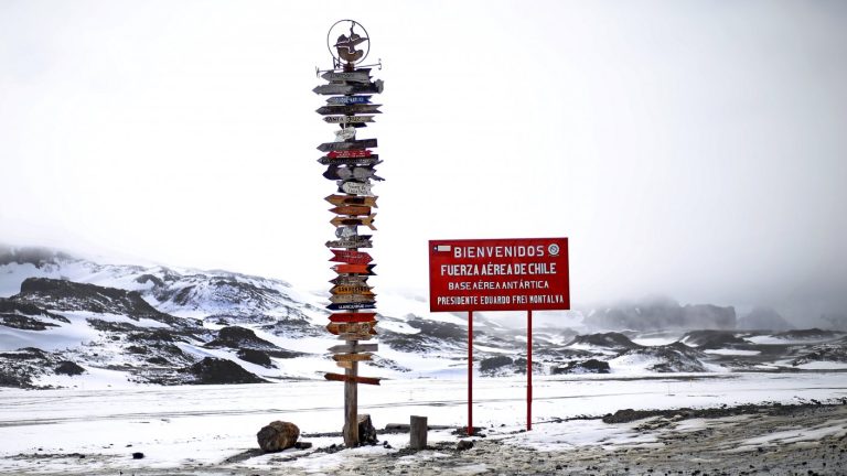 Marcelo Leppe, director del Inach: “Antártica es demasiado importante para quedar fuera de la nueva Constitución”