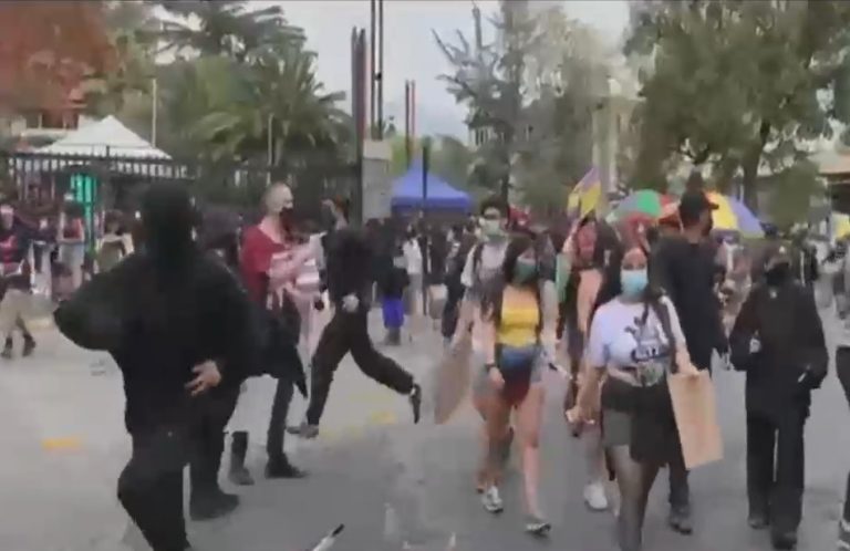 Se registraron manifestaciones en las afueras del Zoológico de Santiago por el Día del Veganismo