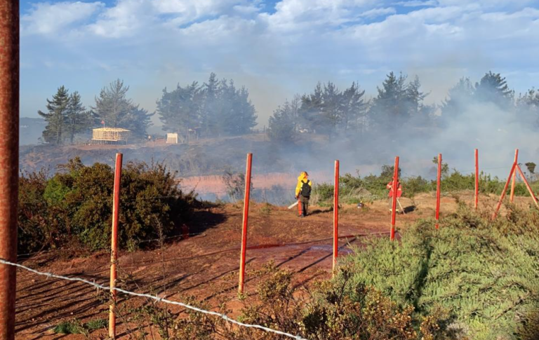 Laguna Verde: Declaran Alerta Roja en Valparaíso por incendio forestal que amenaza sectores habitados