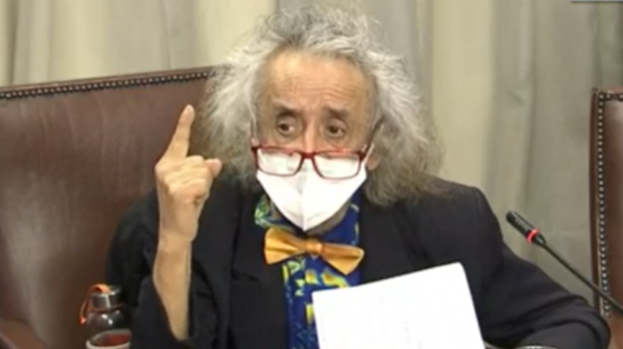 Habló de Felipe Camiroaga, Brereton y los antivacunas: La criticada intervención de Florcita Motuda en acusación contra Piñera