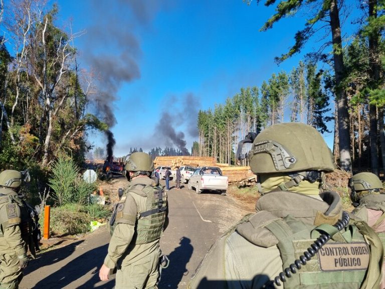 ONU lamentó muerte de comunero mapuche y manifestó preocupación por la situación en Cañete