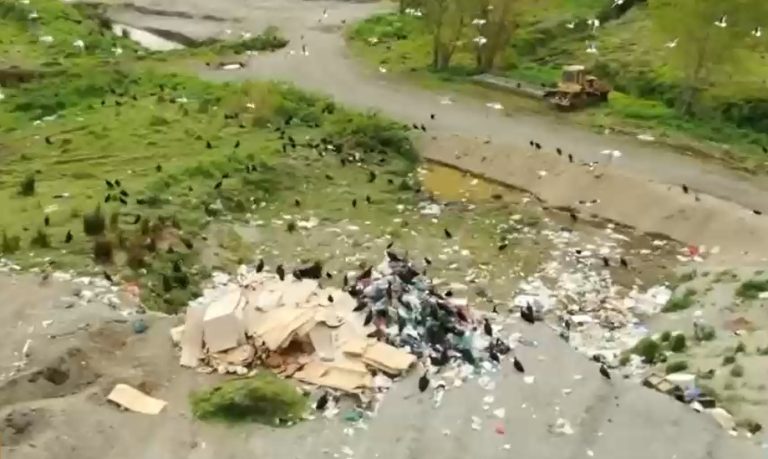 Crisis en la isla de Chiloé: Basura amenaza con destruir un paraíso natural