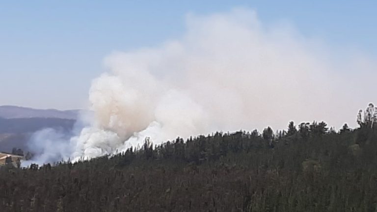 Decretan Alerta Roja en Paredones por incendio forestal cerca de lugares habitados
