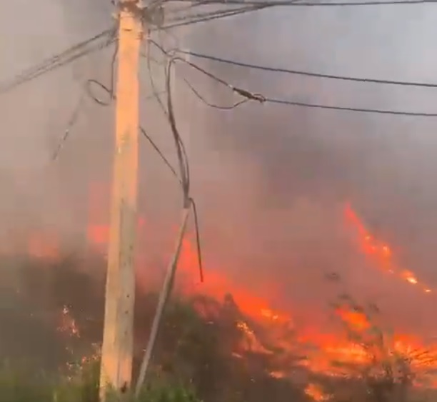 Declaran alerta roja para la comuna de Paine por incendio forestal activo