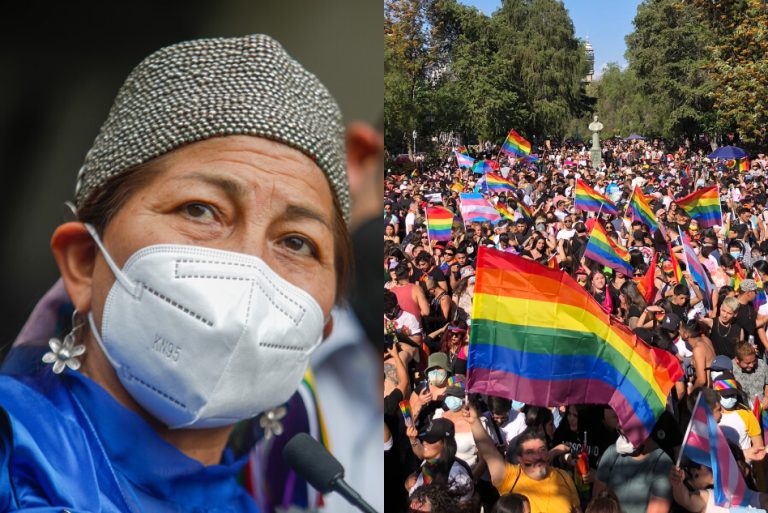 Elisa Loncon envió mensaje a la comunidad LGBTQ+ en marcha del Orgullo: 