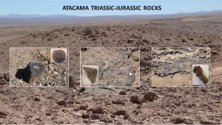 Tecnología para detectar vida en rocas milenarias de Atacama se podría replicar en misiones a Marte