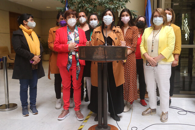 Ley Kaiser: Diputadas presentan proyecto contra 