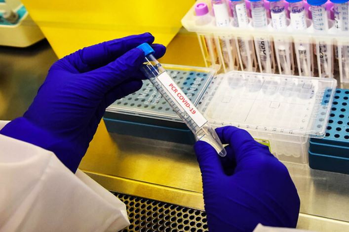 Preocupación internacional: Nueva variante de COVID-19 detectada en Sudáfrica llegó a Europa