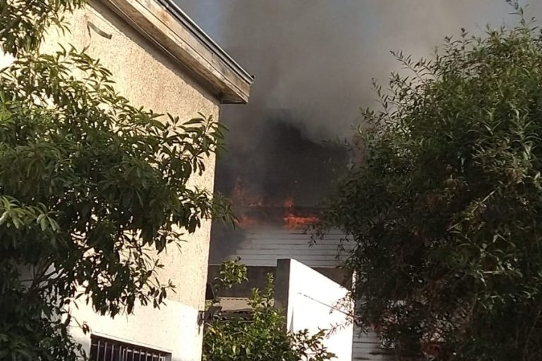 Bomberos trabaja en incendio que afecta a un local comercial en Viña del Mar