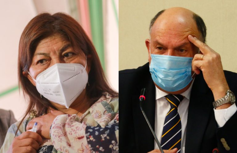 Elisa Loncon criticó a diputado Bobadilla por difundir fake news contra ella: 