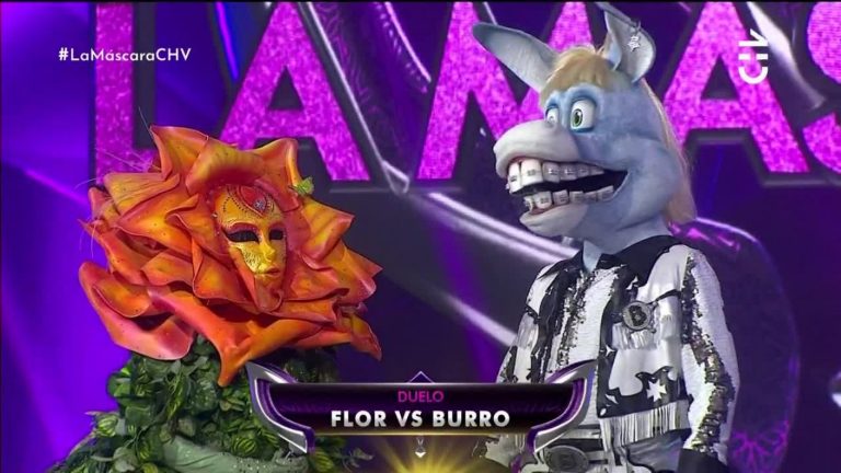 ¡Maravillosos! Flor v/s Burro se la jugaron con todo por seguir compitiendo en ¿Quién es la Máscara?