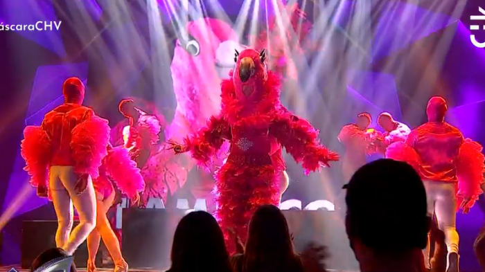 ¡Toda una diva! Flamenco llegó a conquistar el escenario con una energética presentación