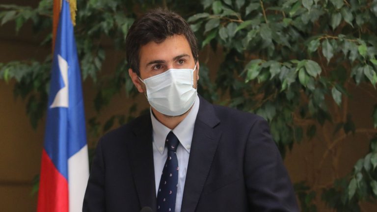 Diego Paulsen, presidente de la Cámara de Diputados: “Fue la oposición la que impidió que se votara telemáticamente”