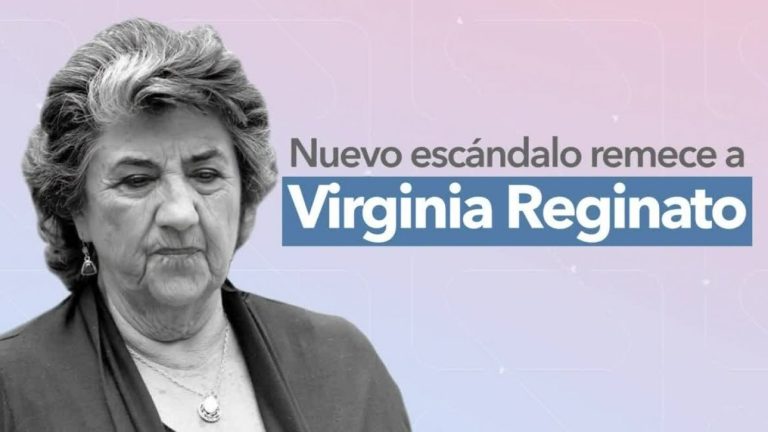 Municipalidad de Viña del Mar demanda a Virginia Reginato por $900 millones