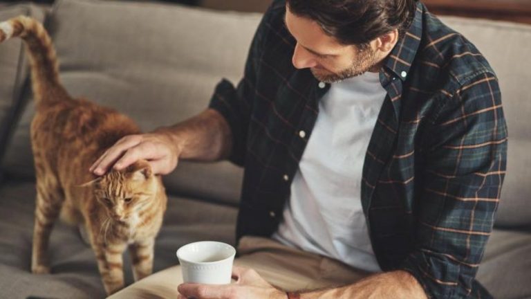 ¿Forever alone? Todo lo que debes saber para el día del soltero