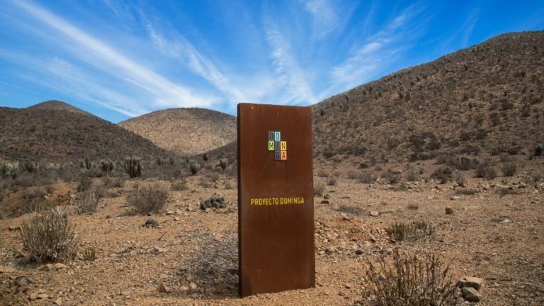 Matías Asún, director de Greenpeace: “Dominga está muerta, sin embargo, mientras no tenga la lápida encima hay que seguir peleando”